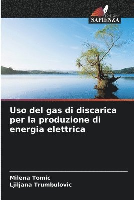 Uso del gas di discarica per la produzione di energia elettrica 1