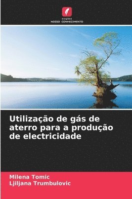 bokomslag Utilizao de gs de aterro para a produo de electricidade