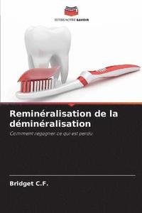 bokomslag Remineralisation de la demineralisation