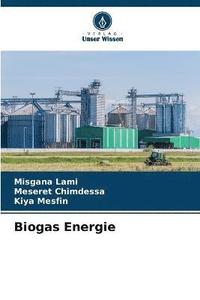 bokomslag Biogas Energie