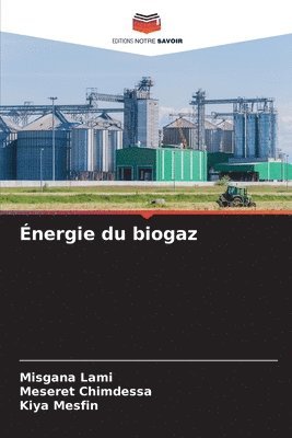 nergie du biogaz 1