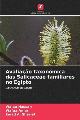 Avaliao taxonmica das Salicaceae familiares no Egipto 1