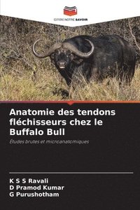 bokomslag Anatomie des tendons flchisseurs chez le Buffalo Bull