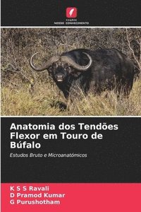 bokomslag Anatomia dos Tendes Flexor em Touro de Bfalo