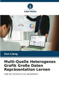 bokomslag Multi-Quelle Heterogenes Grafik Groe Daten Reprsentation Lernen