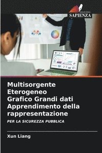 bokomslag Multisorgente Eterogeneo Grafico Grandi dati Apprendimento della rappresentazione