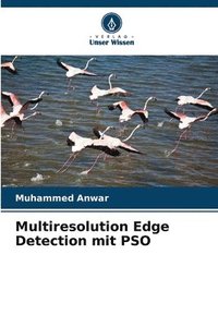 bokomslag Multiresolution Edge Detection mit PSO