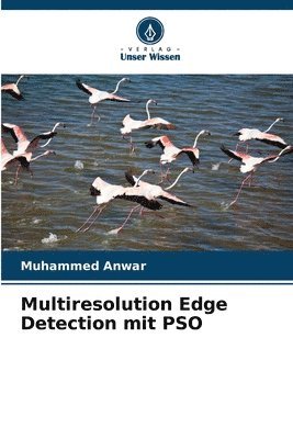 Multiresolution Edge Detection mit PSO 1