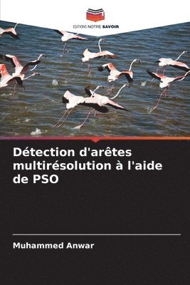 bokomslag Dtection d'artes multirsolution  l'aide de PSO