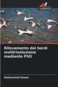 bokomslag Rilevamento dei bordi multirisoluzione mediante PSO