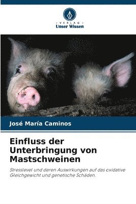 Einfluss der Unterbringung von Mastschweinen 1