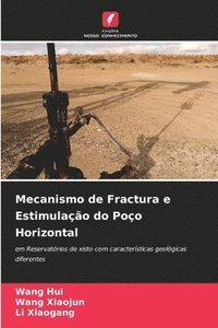 bokomslag Mecanismo de Fractura e Estimulacao do Poco Horizontal
