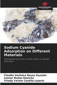 bokomslag Sodium Cyanide Adsorption on Different Materials