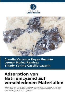 Adsorption von Natriumcyanid auf verschiedenen Materialien 1