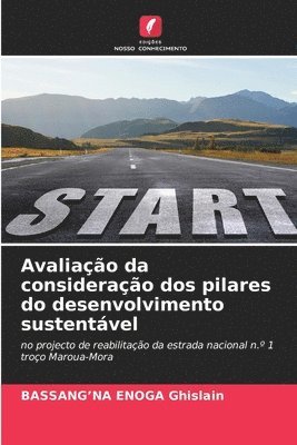 bokomslag Avaliao da considerao dos pilares do desenvolvimento sustentvel