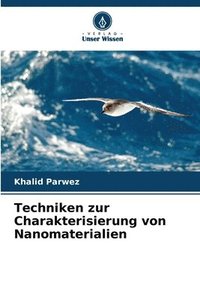 bokomslag Techniken zur Charakterisierung von Nanomaterialien