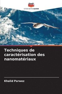 bokomslag Techniques de caractrisation des nanomatriaux