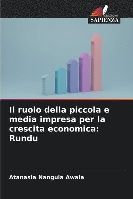 bokomslag Il ruolo della piccola e media impresa per la crescita economica