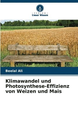 Klimawandel und Photosynthese-Effizienz von Weizen und Mais 1