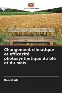 bokomslag Changement climatique et efficacit photosynthtique du bl et du mas