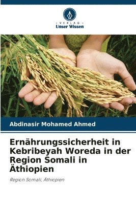 bokomslag Ernhrungssicherheit in Kebribeyah Woreda in der Region Somali in thiopien