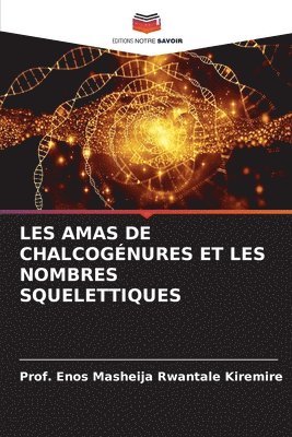 bokomslag Les Amas de Chalcogenures Et Les Nombres Squelettiques