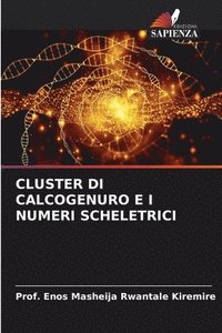 bokomslag Cluster Di Calcogenuro E I Numeri Scheletrici