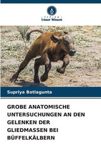 bokomslag Grobe Anatomische Untersuchungen an Den Gelenken Der Gliedmassen Bei Buffelkalbern