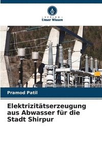 bokomslag Elektrizittserzeugung aus Abwasser fr die Stadt Shirpur
