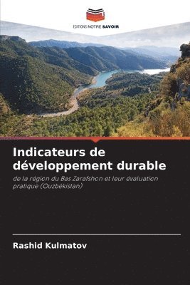 bokomslag Indicateurs de dveloppement durable