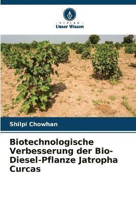 Biotechnologische Verbesserung der Bio-Diesel-Pflanze Jatropha Curcas 1