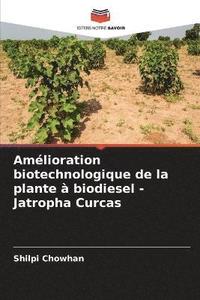 bokomslag Amlioration biotechnologique de la plante  biodiesel - Jatropha Curcas