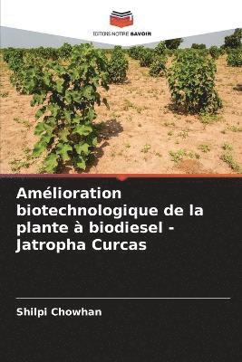 Amlioration biotechnologique de la plante  biodiesel - Jatropha Curcas 1