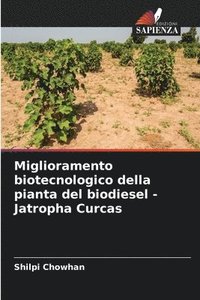 bokomslag Miglioramento biotecnologico della pianta del biodiesel - Jatropha Curcas