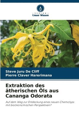 Extraktion des therischen ls aus Cananga Odorata 1