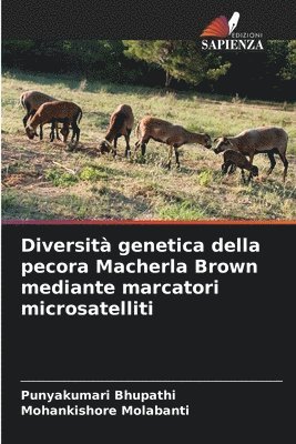 Diversit genetica della pecora Macherla Brown mediante marcatori microsatelliti 1