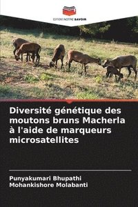bokomslag Diversit gntique des moutons bruns Macherla  l'aide de marqueurs microsatellites