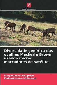 bokomslag Diversidade gentica das ovelhas Macherla Brown usando micro-marcadores de satlite