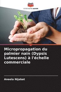 bokomslag Micropropagation du palmier nain (Dypsis Lutescens)  l'chelle commerciale