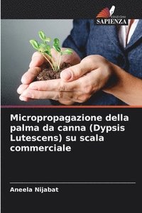 bokomslag Micropropagazione della palma da canna (Dypsis Lutescens) su scala commerciale