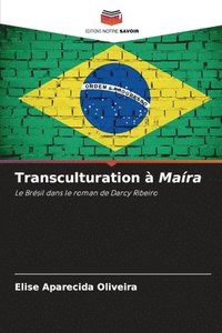 bokomslag Transculturation a Maira