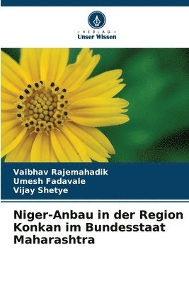Niger-Anbau in der Region Konkan im Bundesstaat Maharashtra 1
