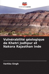 bokomslag Vulnrabilit gologique de Khetri Jodhpur et Nakora Rajasthan Inde