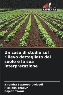 Un caso di studio sul rilievo dettagliato del suolo e la sua interpretazione 1