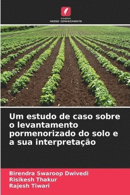 bokomslag Um estudo de caso sobre o levantamento pormenorizado do solo e a sua interpretao