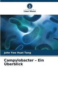 bokomslag Campylobacter - Ein berblick