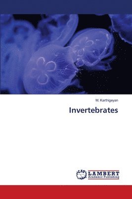 bokomslag Invertebrates