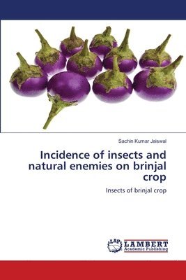 Incidence of insects and natural enemies on brinjal crop 1
