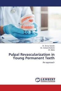 bokomslag Pulpal Revascularization in Young Permanent Teeth