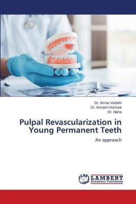 Pulpal Revascularization in Young Permanent Teeth 1